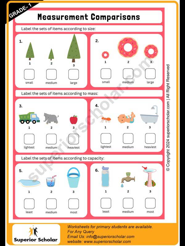 measurement worksheet