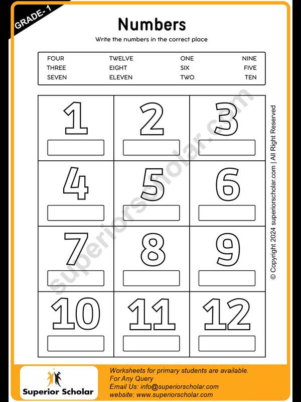 numbers worksheet